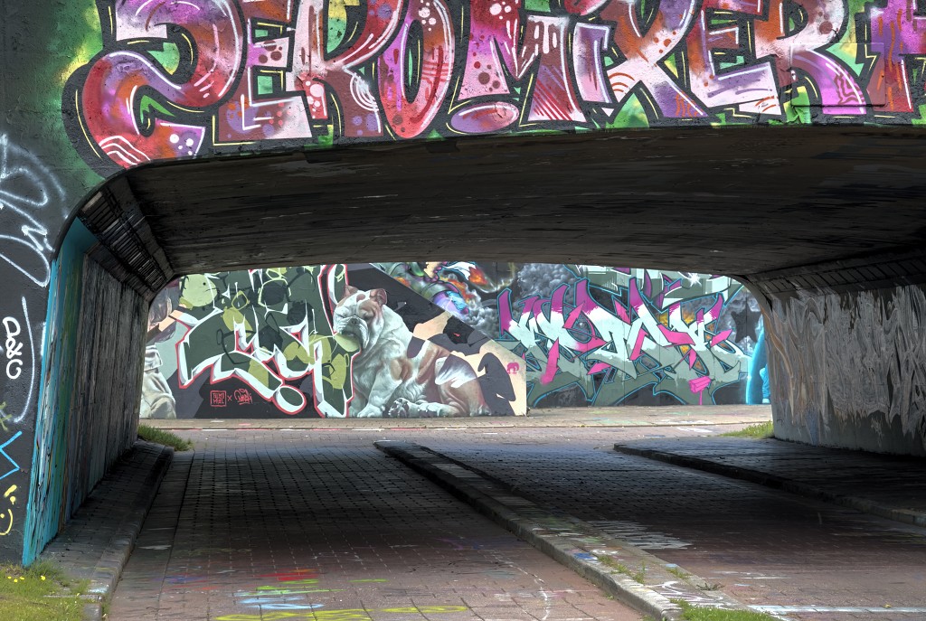 graffiti eindhoven hdr urbex art kunst kunstwerk mural murals berenkuil straatkunst